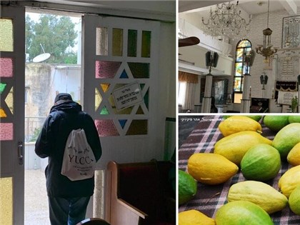 סיור בוקר בשכונת מונטפיורי ת"א "פרדסים,סודות וכתות"