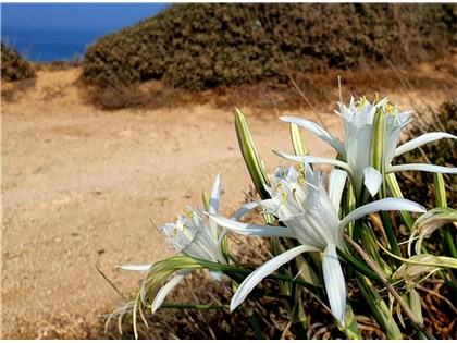 טיול יומי בעקבות אבירים ונועזים