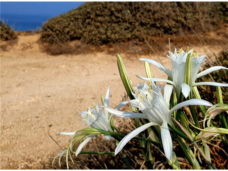 טיול יומי בעקבות אבירים ונועזים 