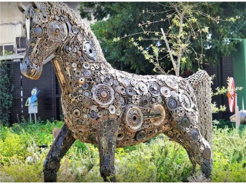 טיול יומי אנשים פסלים זיתים וסיפורים בבקעת בית הכרם 