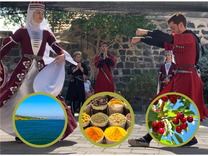 טיול מאורגן באוטובוס  באזור הכינרת והסביבה 