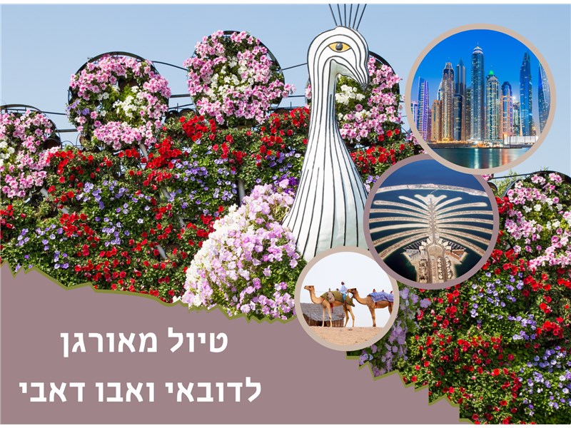 טיול מאורגן נפלאות דובאי 