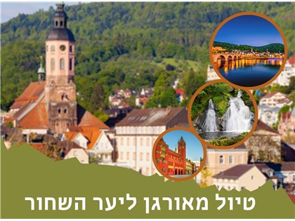 טיול מאורגן ביער השחור 23-30.07.25