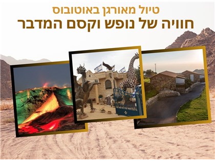 טיול מאורגן באוטובוס חוויה של נופש בקסם המדבר