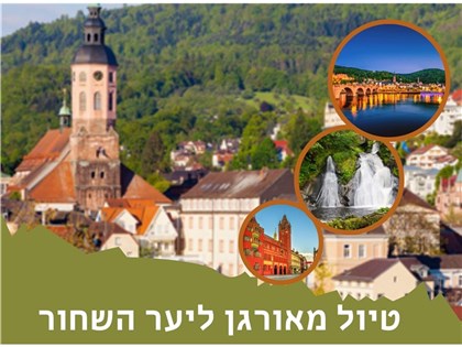 טיול מאורגן ליער השחור 02-09.06.2026