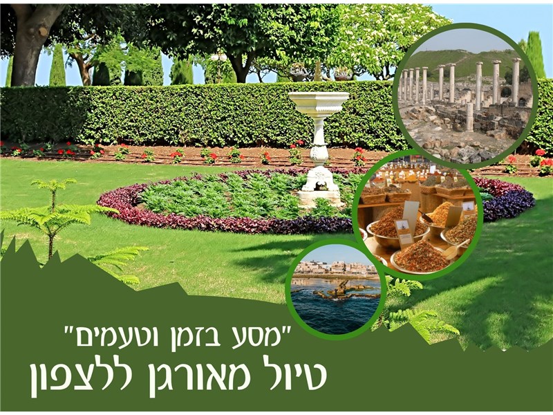 מסע בזמן וטעמים: טיול  מאורגן קסום  באוטובוס של שלושה ימים בצפון 08-10.03.2026 